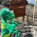 Geko * Los Llanillos