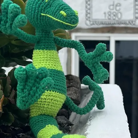 Geko