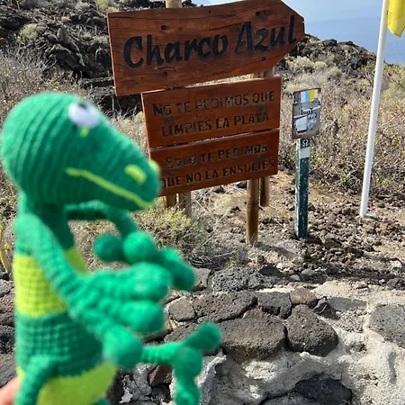 Geko * Los Llanillos