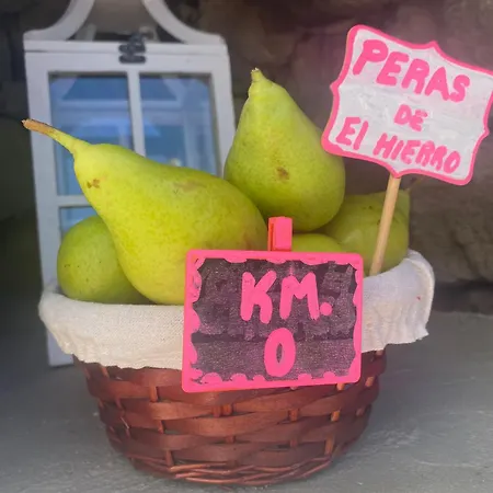 Geko Los Llanillos